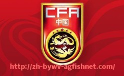 AG捕鱼王官网-法甲2025赛季走势解析：强队突围与黑马崛起