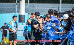 AG捕鱼王官网-意甲各球队联赛等级排序及实力分布报告