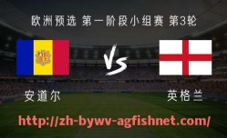 AG捕鱼王官网-火箭队历年季后赛战绩统计与晋级情况一览